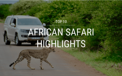 Top 10 African Safari Highlights